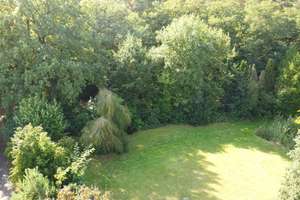 Großzügiges Landhaus mit Mietswohnung, Pferdehaltung und 22 kW-Photovoltaikanlage in traumhafter All – Die vollständige Adresse der Immobilie erhältst du vom Anbieter., 31606 Warmsen – Vorschaubild 10