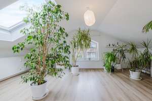Attraktive 4-Zimmer-Dachgeschosswohnung mit Weitblick – Die vollständige Adresse der Immobilie erhältst du vom Anbieter., 88069 Tettnang – Vorschaubild 8