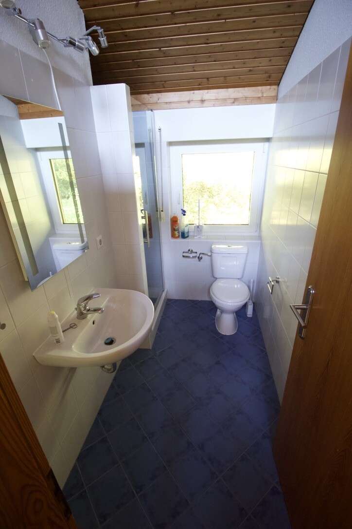 Immobilie in Wittlich - Wittlich | ca. 284 m² Wohnfläche |Schwimmbad |  Einliegerwohnung |  | Exklusives Wohngebiet - Bild 12