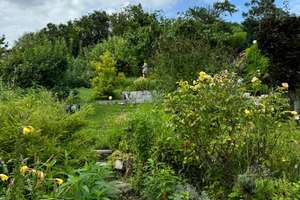 Property thumbnail 23