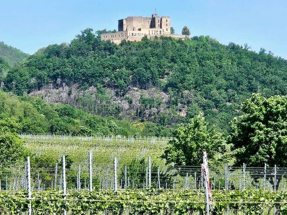 Blick vom Grundstück