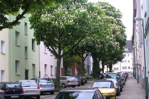 Kleine Oase in Essen-Holsterhausen - wunderschönes 1-Raum-Apartment mit Südbalkon – Schnorrstr. 21, 45147 Holsterhausen, Essen – Vorschaubild 2
