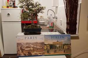 Property thumbnail 9