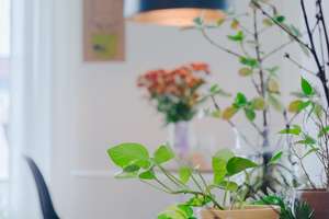 Property thumbnail 18