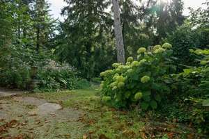 Historisches Anwesen mit Parkgarten: Repräsentatives Raumwunder in Oettingen – 86732 Oettingen in Bayern – Vorschaubild 28