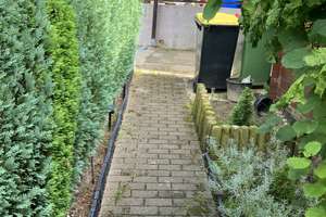 Haus mit 2,5 Zimmern in Hamburg Langenbek – Wilseder Ring 10, 21079 Langenbek, Hamburg – Vorschaubild 3