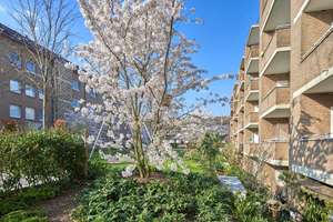 Kompaktes Appartment im Souterrain mit separatem Eingang – 40549 Heerdt, Düsseldorf – Vorschaubild 4