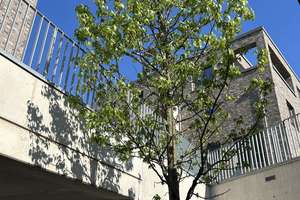 Property thumbnail 18