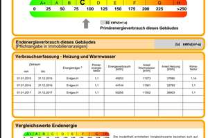 Sehr Ruhige helle sanierte Altbauwohnung balkon direkter gartenzugang 1240€ Mieteinnahmen – Machonstrasse 51, 12105 Mariendorf, Berlin – Vorschaubild 14