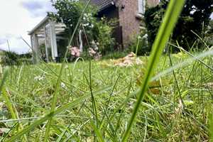 "Traumhaus in Nettetal: Hochwertige Eleganz auf Erbpachtgrundstück" – Viersen (Kreis) – Vorschaubild 30