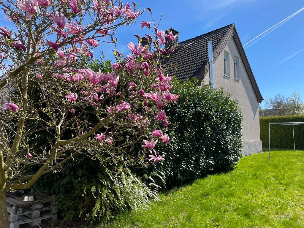 Immobilie in Herdecke - Sofort einziehen und den Frühling im eigenen Garten genießen! - Bild 0