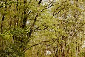 Property thumbnail 27