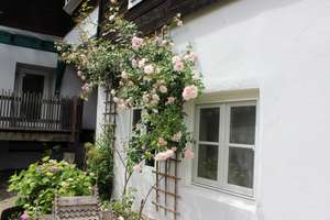 Rückzugsraum für Ruhesuchende! Besonderes Hotel - Kleinod im Harz – Die vollständige Adresse der Immobilie erhältst du vom Anbieter., 38678 Clausthal-Zellerfeld – Vorschaubild 30