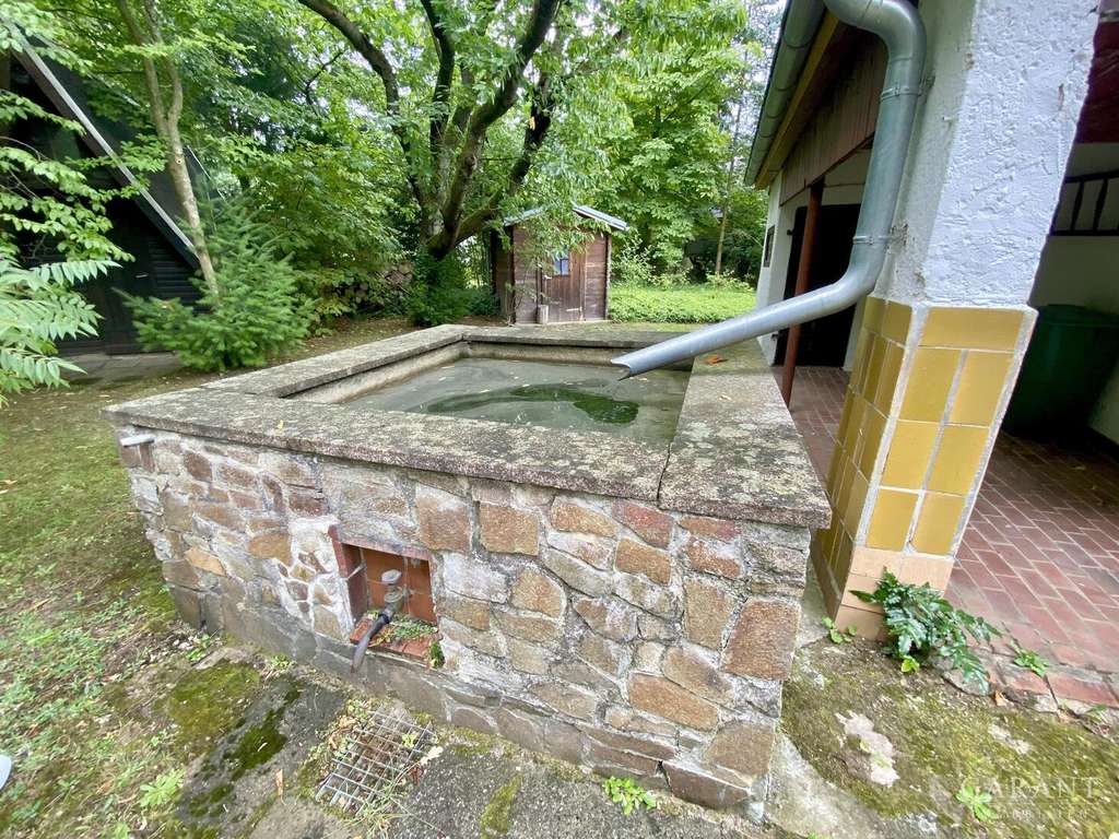 Immobilie in Colditz - Idyllisches Waldgrundstück mit Bungalow und Finnhütte nahe Grimma - Bild 2