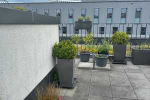 Property thumbnail 22