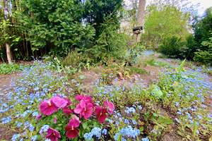 Property thumbnail 30