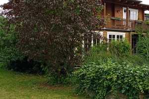 Traumvilla in Deggendorf – Deggendorf (Kreis) – Vorschaubild 5