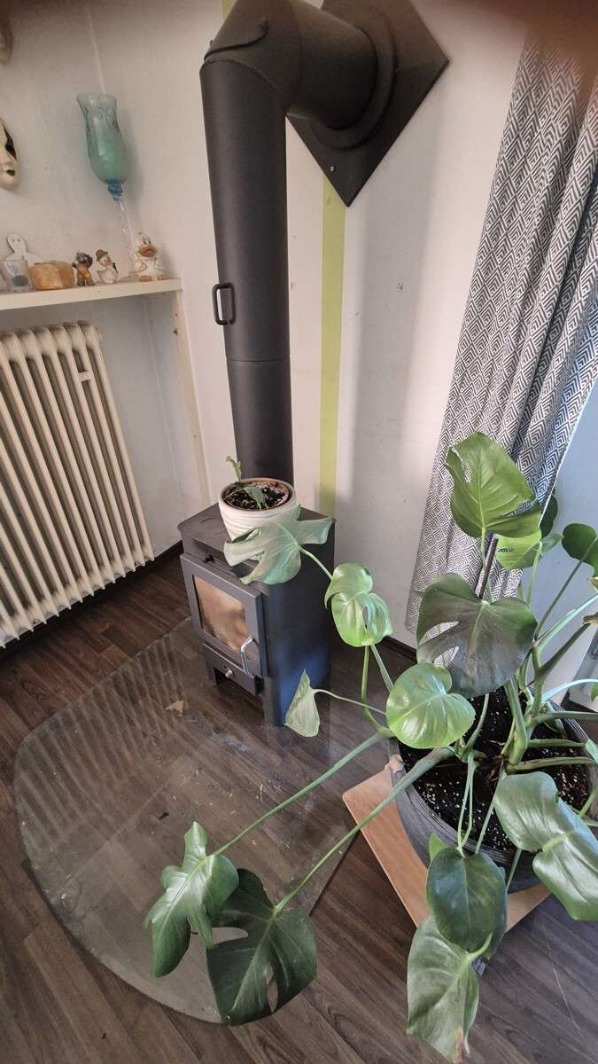 Immobilie in Albbruck - Albbruck - Einfamilienhaus mit Gewerbeanteil! - Bild 8