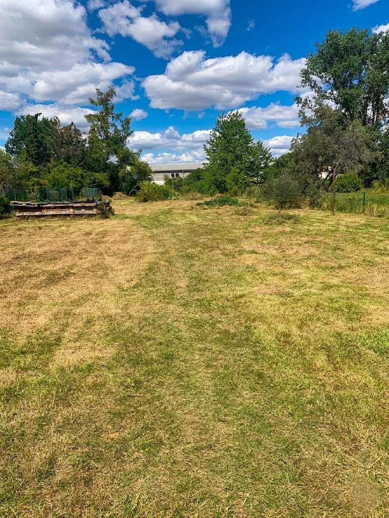 Immobilie in Unstrut-Hainich - Unstrut Hainich-OT, 2 Wohnhäuser - Bild 2