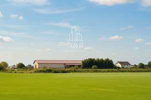 ** Landwirtschaftsbetrieb mit Potenzial: Reitbetrieb, Anbau oder Kombination ** – Die vollständige Adresse der Immobilie erhältst du vom Anbieter., 65462 Ginsheim-Gustavsburg – Vorschaubild 7