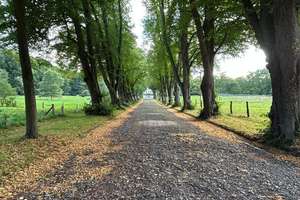 WUNDERSCHÖNER LANDSITZ  IN HAMBURG AM ALSTERLAUF. – Die vollständige Adresse der Immobilie erhältst du vom Anbieter., 22397 Wohldorf-Ohlstedt, Hamburg – Vorschaubild 26