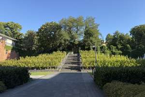 Property thumbnail 29