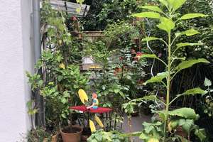 Kapitalanlage: freistehendes Einfamilienhaus mitten im schönen Nordend – 60318 Nordend-West, Frankfurt am Main – Vorschaubild 3