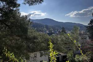 4-Familienhaus in top Lage mit traumhaftem Ausblick – Die vollständige Adresse der Immobilie erhältst du vom Anbieter., 76530 Innenstadt, Baden-Baden – Vorschaubild 3