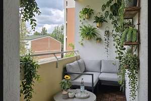 Ruhig mit Parkblick in Feldmoching! 3 Zimmer, renoviert, bezugsfrei, Balkon, ohne Provision – Gustav-Schiefer-Straße 26, 80995 Lerchenau-West, München – Vorschaubild 11