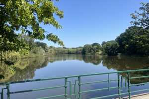 Property thumbnail 29