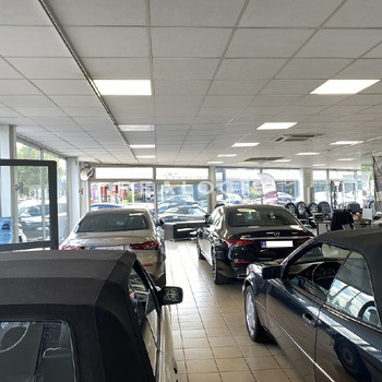 Showroom mit Werkstatt und Freifläche in Top Lage