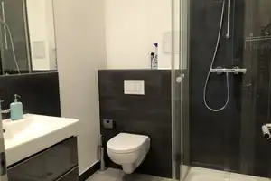 Property thumbnail 23