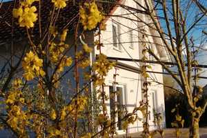 Traumhaftes Einfamilienhaus mit großem Grundstück in Kandern – Lörrach (Kreis) – Vorschaubild 5