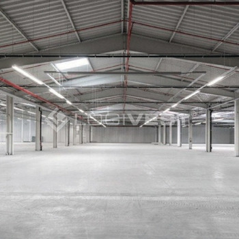 Hochwertige provisionsfreie Lagerimmobilie in der nähe von der A81 | 10.000 m² Hallenfläche