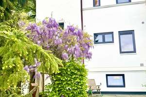 Villa in Toplage nahe der Elbe – flexibel nutzbar und familienfreundlich – Die vollständige Adresse der Immobilie erhältst du vom Anbieter., 22605 Othmarschen, Hamburg – Vorschaubild 9