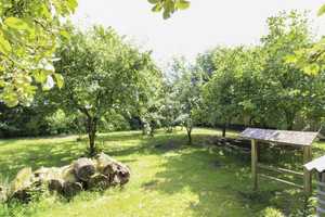 Ländliche Idylle für Sie und Ihre Familie Fachwerkhaus inkl. FeWo in Behrenwalde (Weitenhagen) – Nordvorpommern (Kreis) – Vorschaubild 16