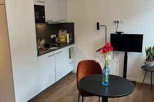 möbliertes Studio-Apartment - Himpfelhof – 90429 Himpfelshof, Nürnberg – Vorschaubild 1