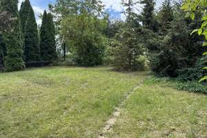 Idyllisches Zuhause mit Gartenparadies – Die vollständige Adresse der Immobilie erhältst du vom Anbieter., 38828 Wegeleben – Vorschaubild 5