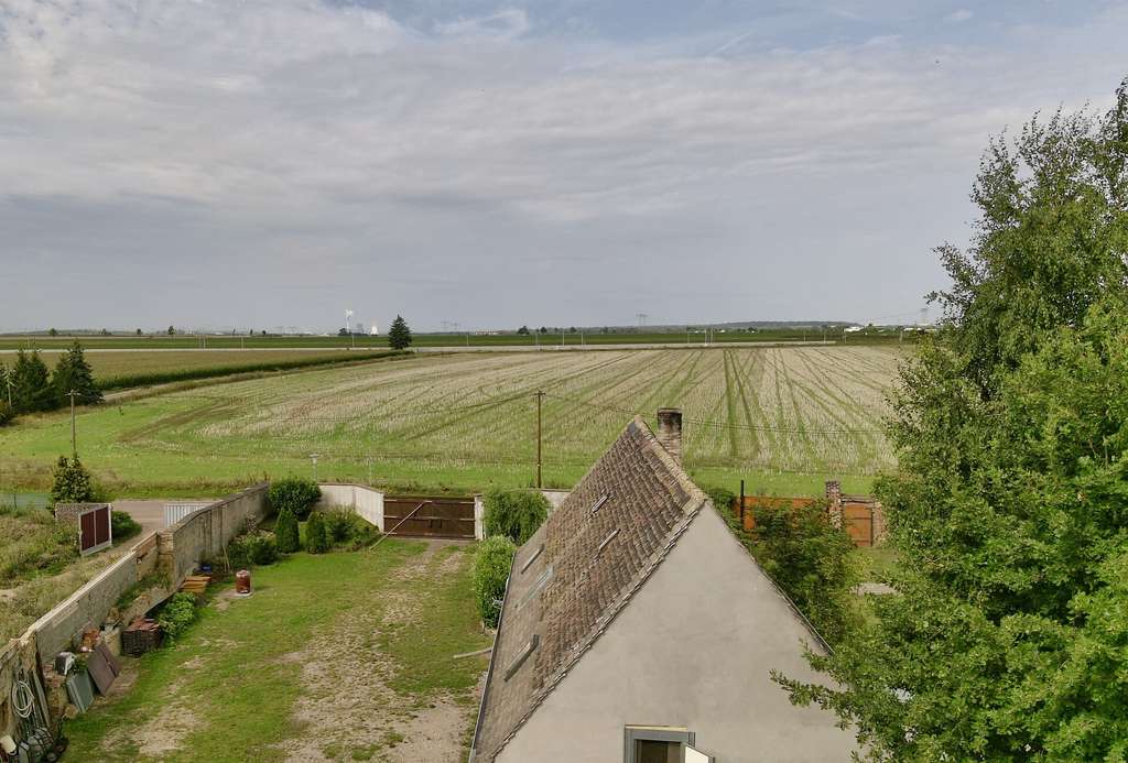 Immobilie in Kabelsketal - Einfamilienhaus energetisch saniert mit Gästehaus und großem Grundstück - Bild 1