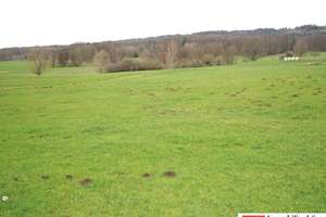 40.000m² großer Resthof mit Weide, Stallungen & Scheune im Auetal (Nähe Hannover) – Die vollständige Adresse der Immobilie erhältst du vom Anbieter., 31749 Auetal – Vorschaubild 3