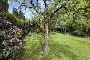 Ein Traum für Gartenliebhaber - Renoviertes Einfamilienhaus in Mitterfels – Die vollständige Adresse der Immobilie erhältst du vom Anbieter., 94360 Mitterfels – Vorschaubild 22