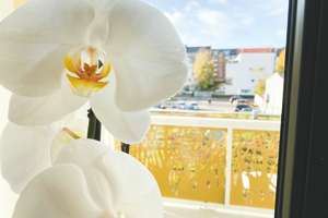 Moderne 2 Zimmer-Wohnung mit historischem Flair & 2 Balkonen – 24105 Brunswik, Kiel – Vorschaubild 11
