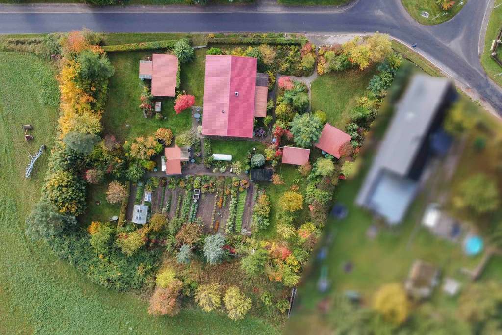 Immobilie in Mirow - Naturgenuss: Einfamilienhaus im Bungalowstil mit großem Gartengrundstück in Feldrandlage - Bild 4