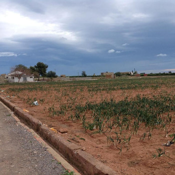Rustikaler Bauernhof in Moncada, Valencia, zu verkaufen, 22.230 m², mit Wohnhaus, Reitplatz und 6 Pf