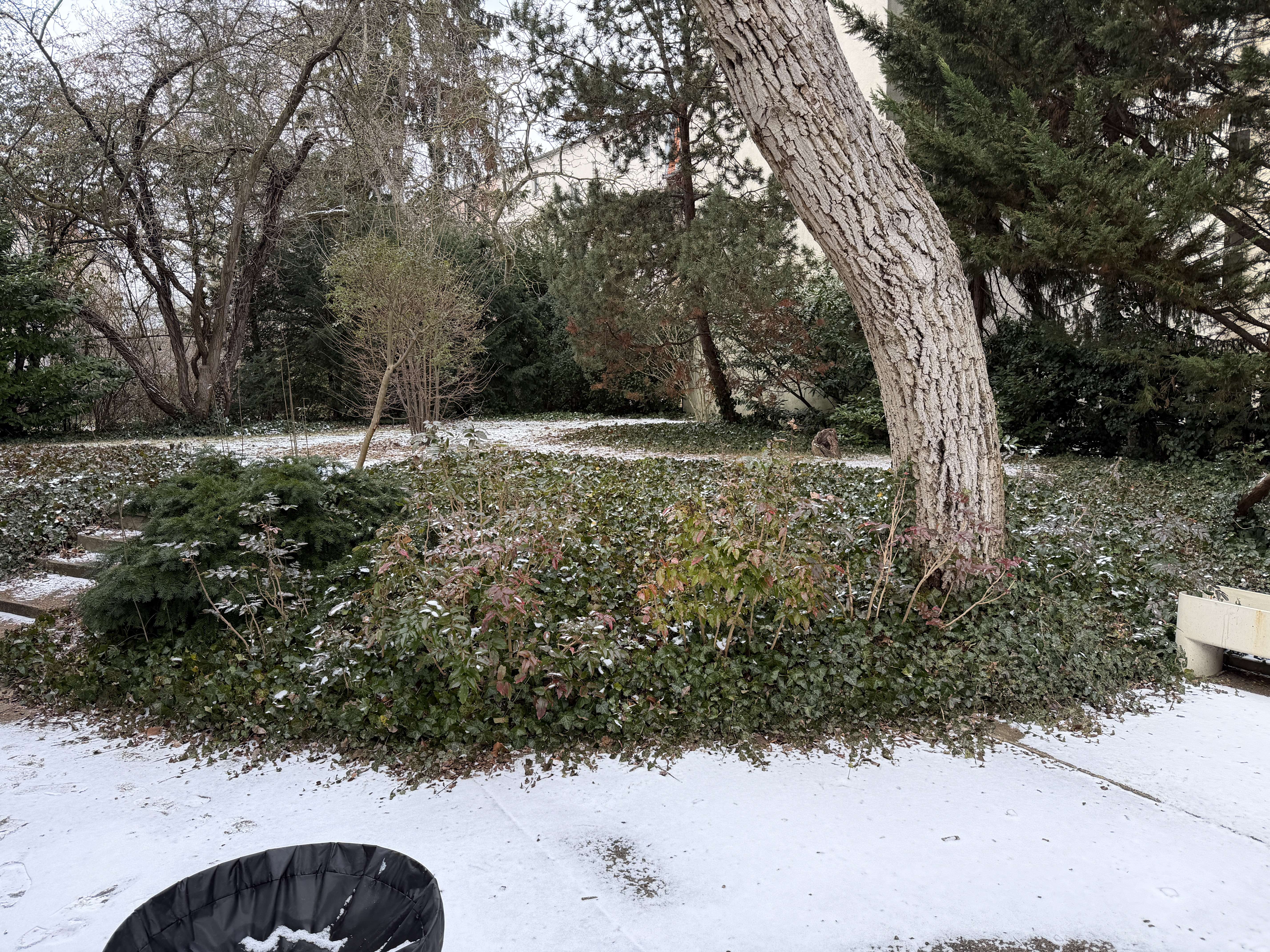 sanierungsbedürftige Wohn/Gewerbeobjekt mit 5 Räumen und Garten, Berlin – Bild 2