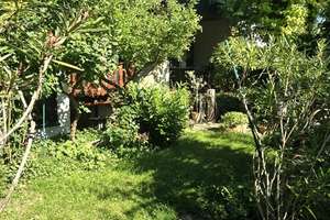 Seltene Gelegenheit: Großzügiger Bungalow mit Terrasse, Keller und Garage in Ludwigshafen-Oppau – 67069 Oppau, Ludwigshafen am Rhein – Vorschaubild 15