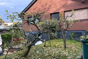 Arbeiten und Wohnen vereint, ohne Makler, ausschließlich für Privat und Gewerbe unter einem Dach – Die vollständige Adresse der Immobilie erhältst du vom Anbieter., 22143 Rahlstedt, Hamburg – Vorschaubild 9