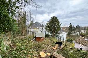Tiefgarage und Aufzug im grünen Dambachtal - KfW-55 - Erstbezug – Die vollständige Adresse der Immobilie erhältst du vom Anbieter., 65193 Nordost, Wiesbaden – Vorschaubild 11