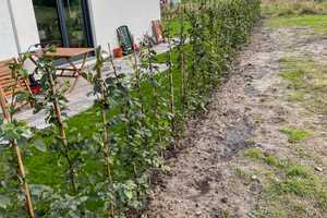 Doppelhaushälfte - Neubau 2024 - Energetisch Top - KfW40 – Friesland (Kreis) – Vorschaubild 6