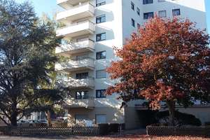 Helles 1-Zimmer-Appartement mit Balkon in Bonn-Dottendorf!